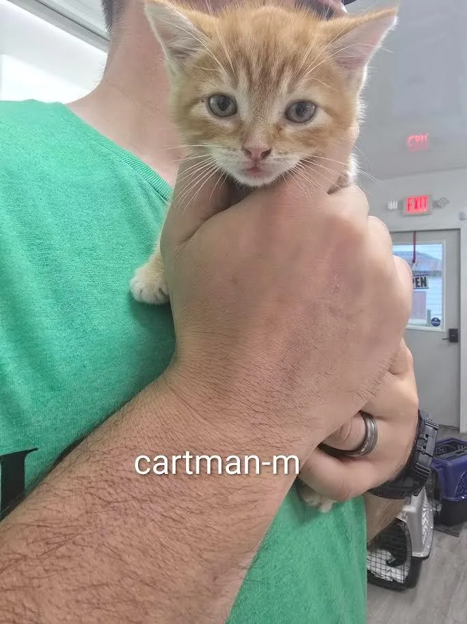 Cartman thumbnail 2