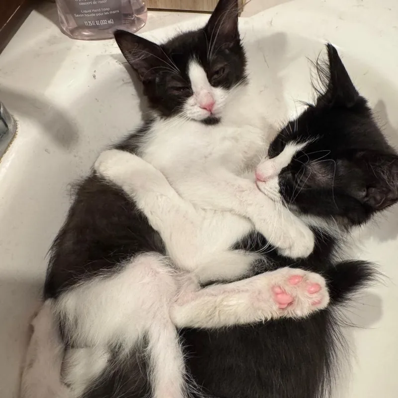 Betty & Otto thumbnail 6