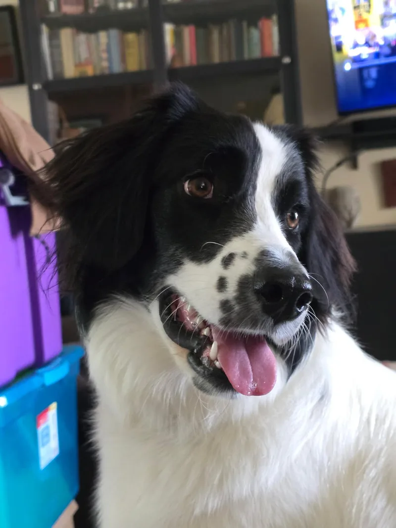 Lexie thumbnail 2