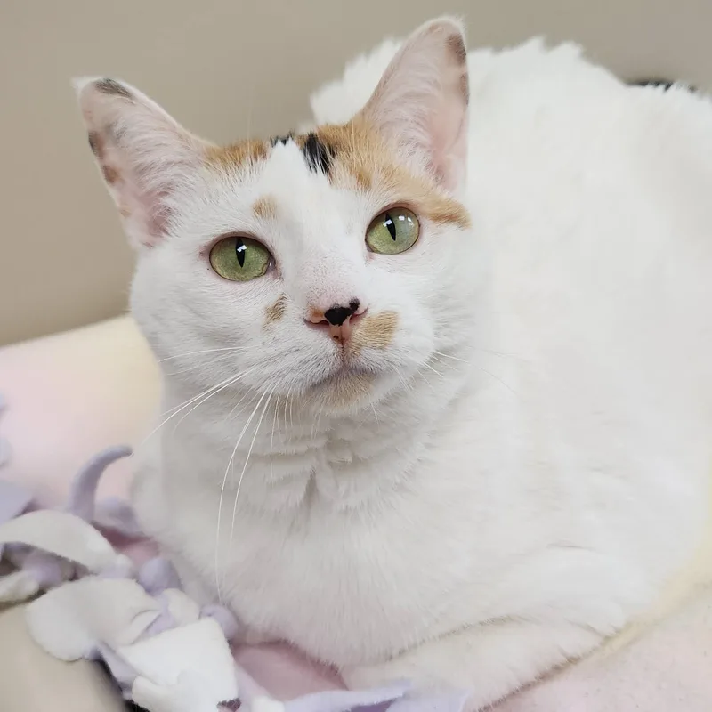 Maggie Mae thumbnail 3