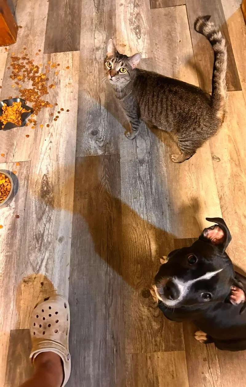 Annie thumbnail 5