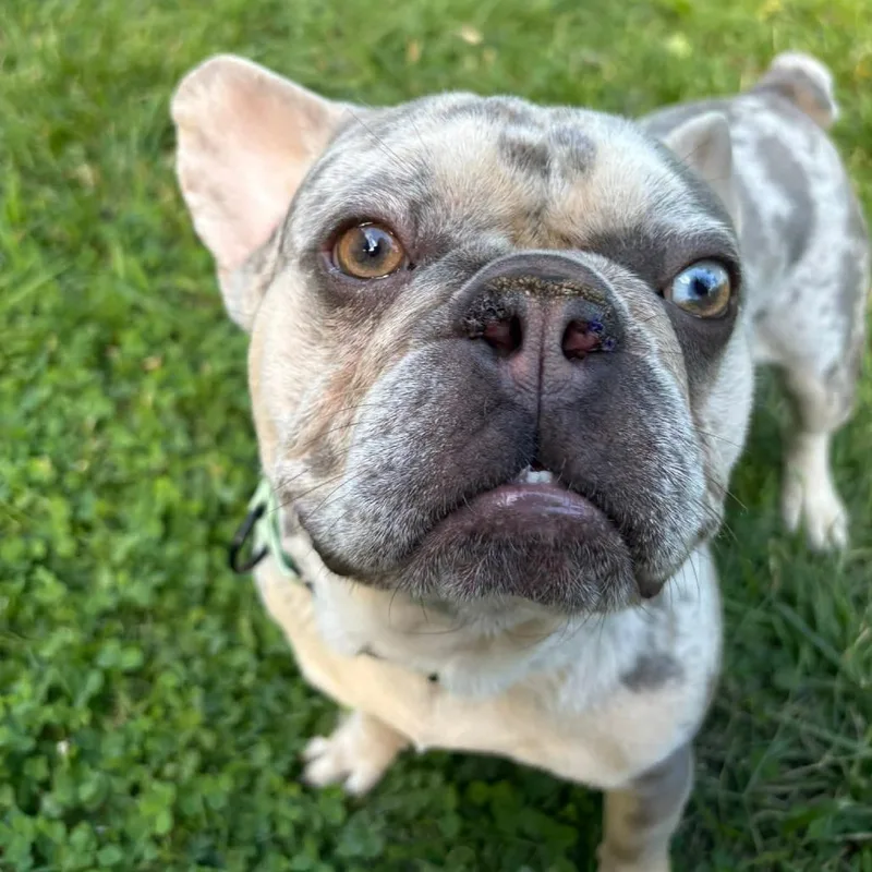 Rolex thumbnail 2
