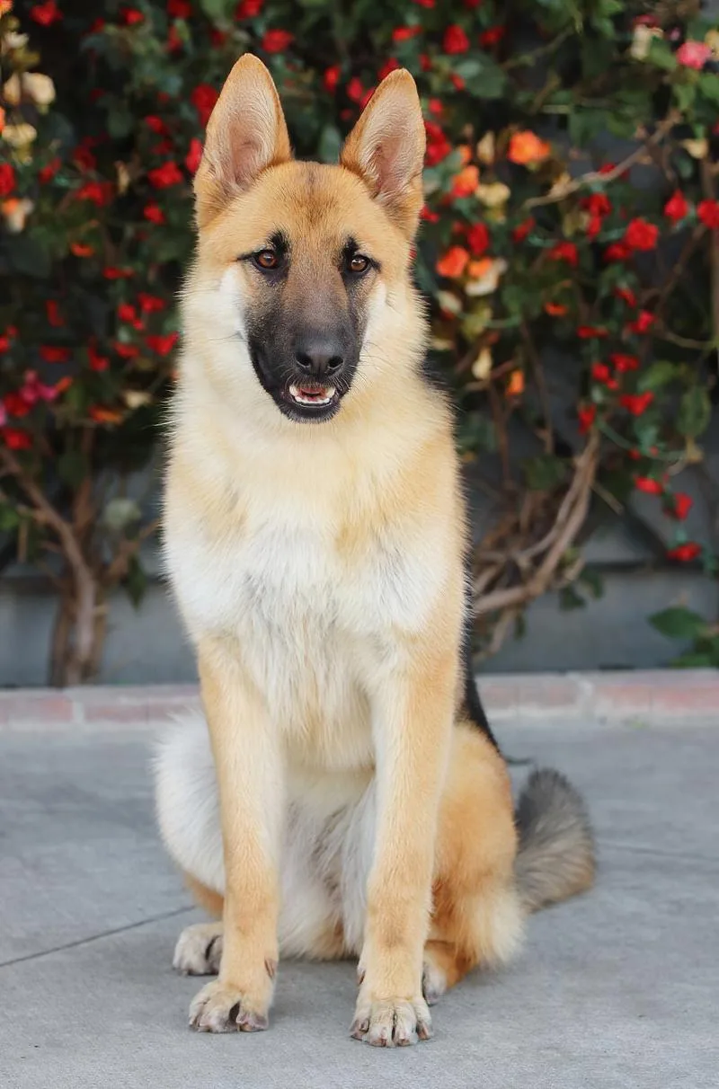 Winnie Von Winringen thumbnail 3