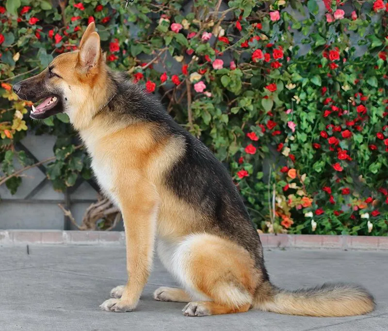 Winnie Von Winringen thumbnail 4