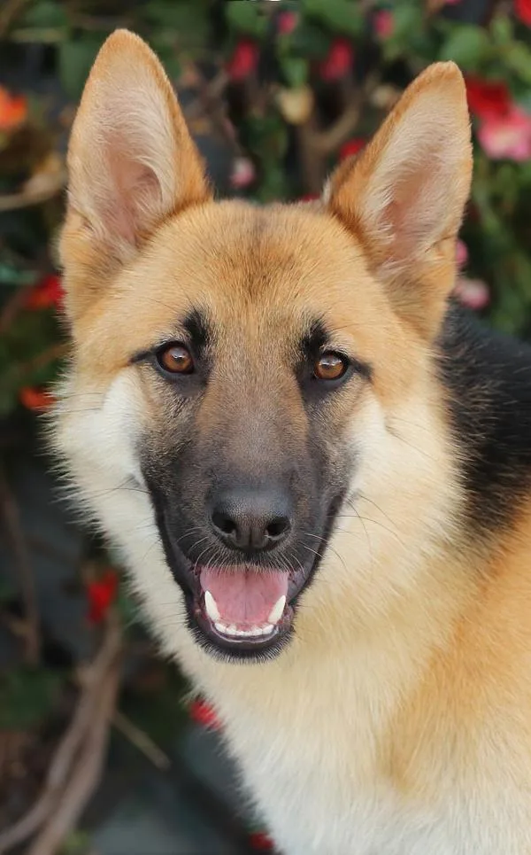 Winnie Von Winringen