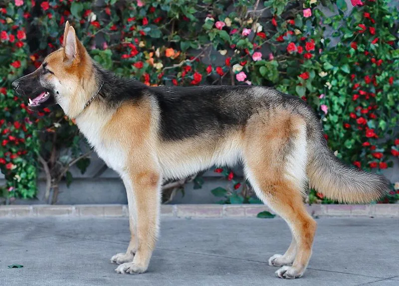 Winnie Von Winringen thumbnail 5