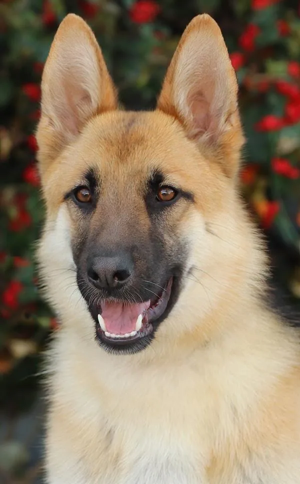 Winnie Von Winringen thumbnail 6