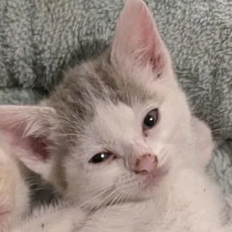 Cry Baby thumbnail 3