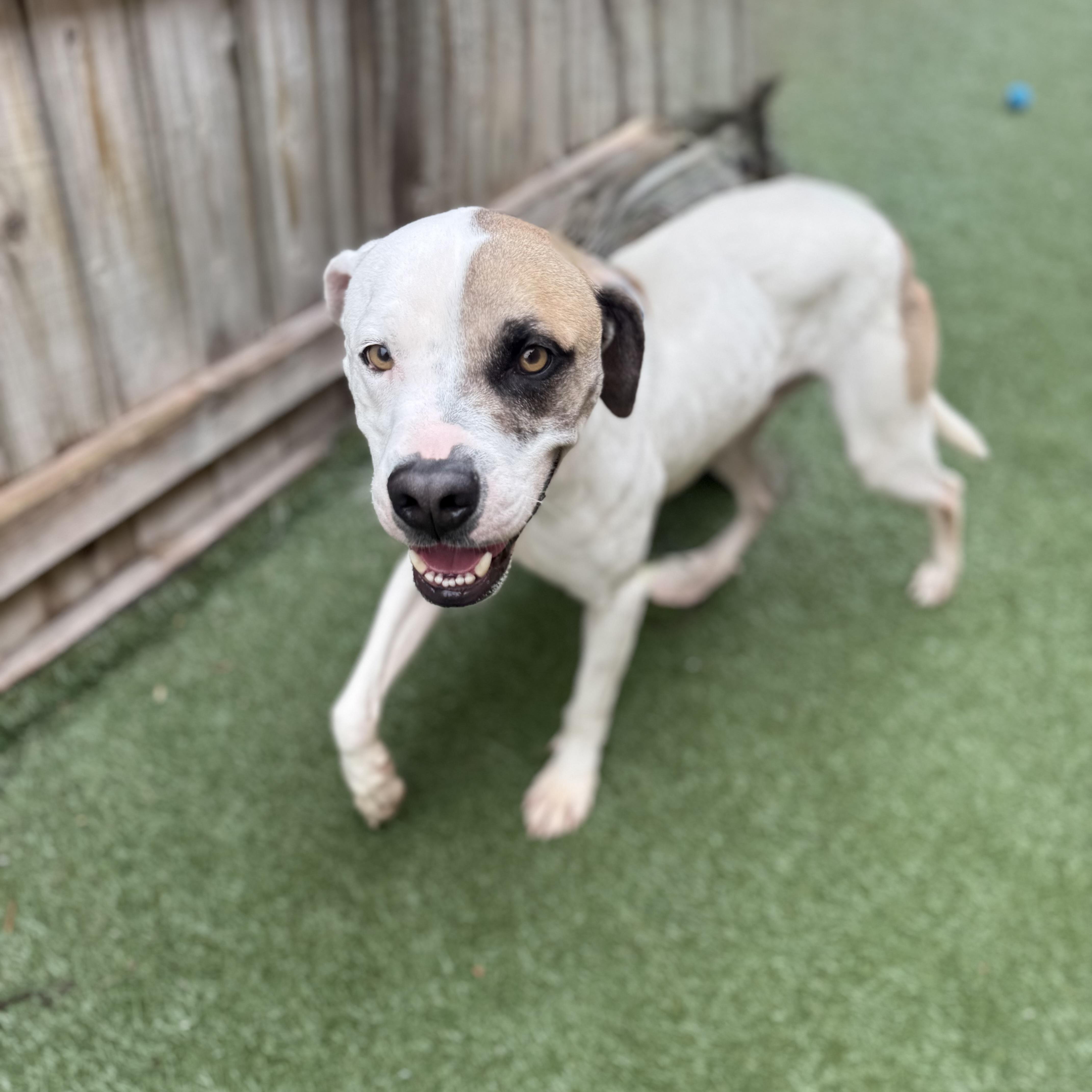 Bruno Mars thumbnail 2