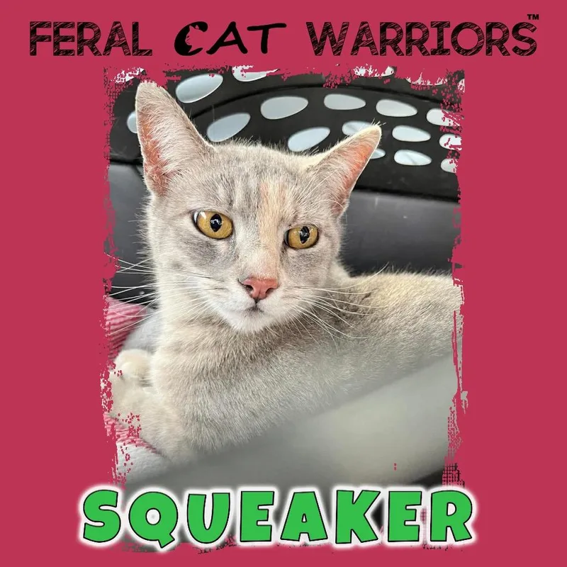 Squeakerk thumbnail 2