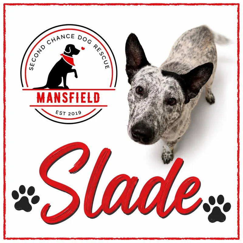 Slade thumbnail 3