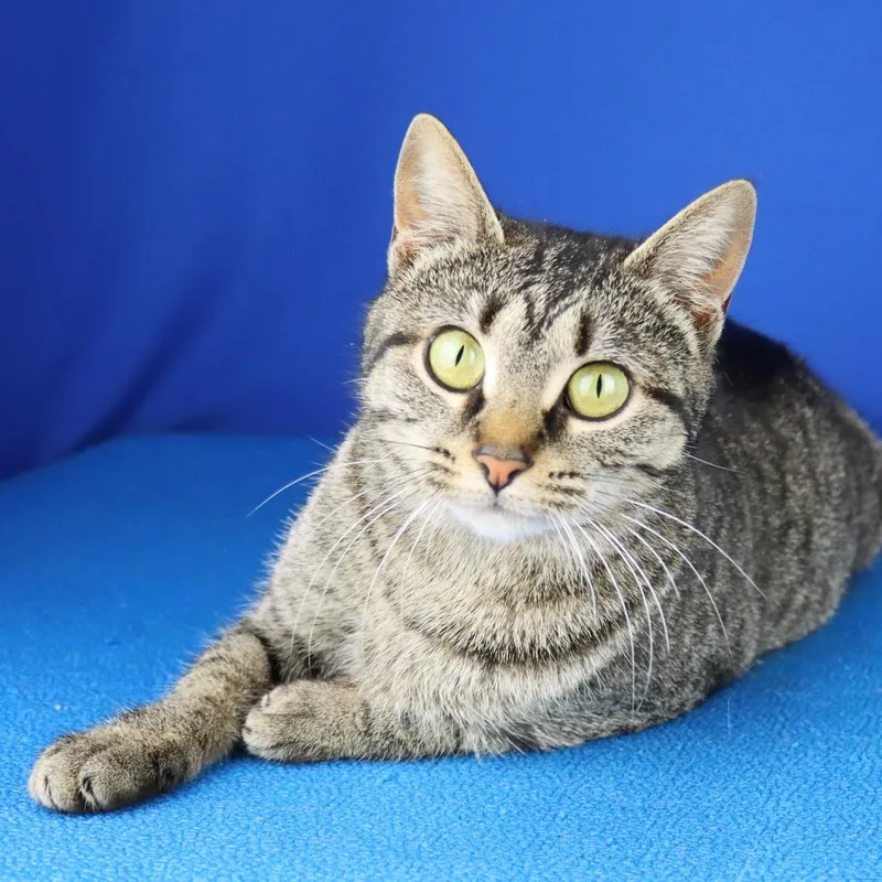 Mabel  U thumbnail 2