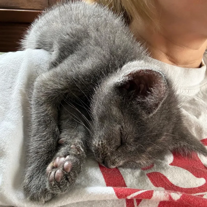 Sleepy Gary thumbnail 2