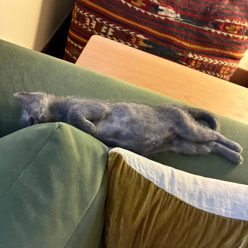 Sleepy Gary thumbnail 4
