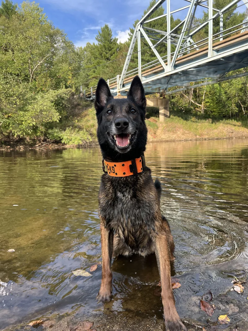 Smokey Cl Located In thumbnail 2