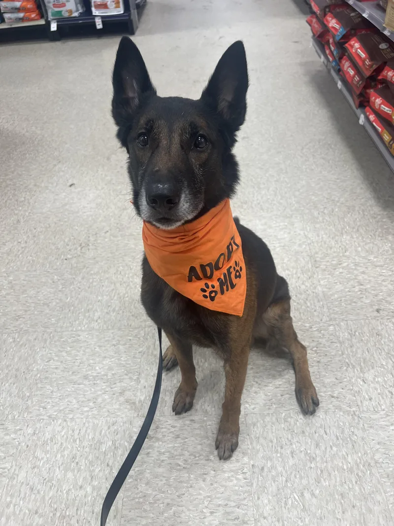 Smokey Cl Located In thumbnail 3