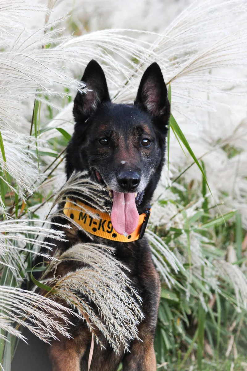 Smokey Cl Located In