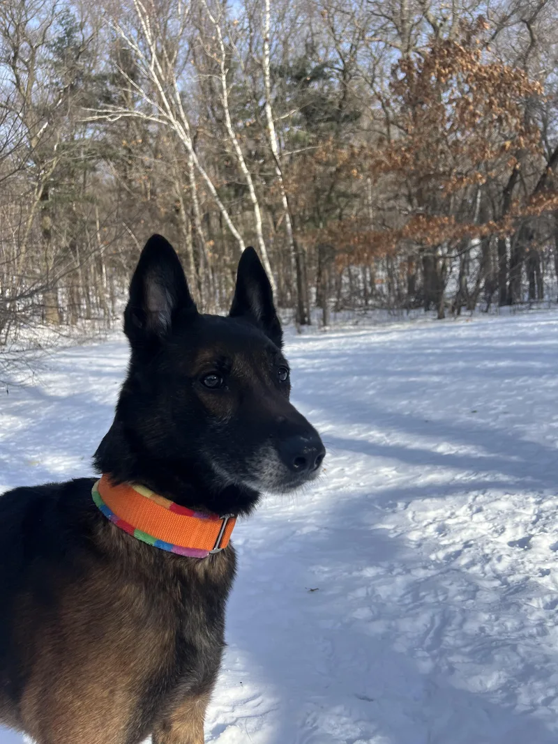 Smokey Cl Located In thumbnail 5