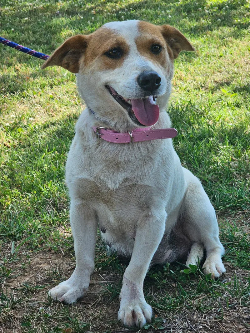 Lady Lucy