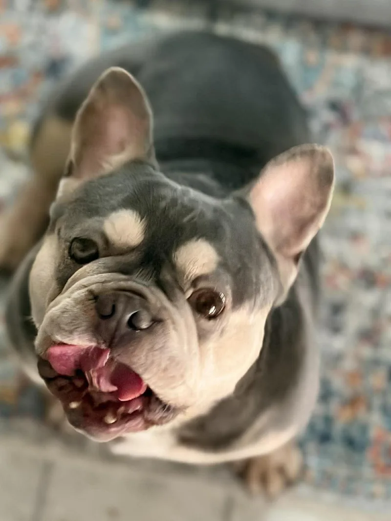 Rockefeller thumbnail 2