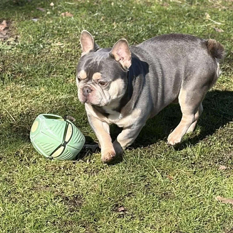 Rockefeller thumbnail 3