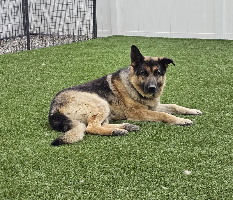 Max