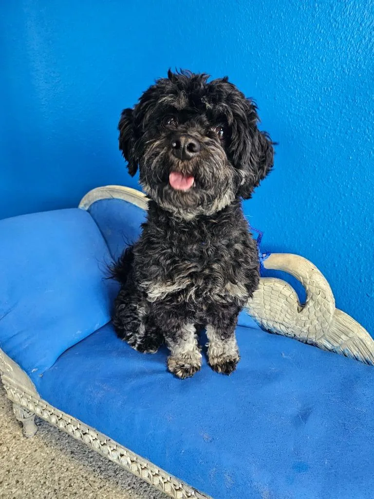 Winchester thumbnail 3