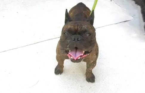 Marco