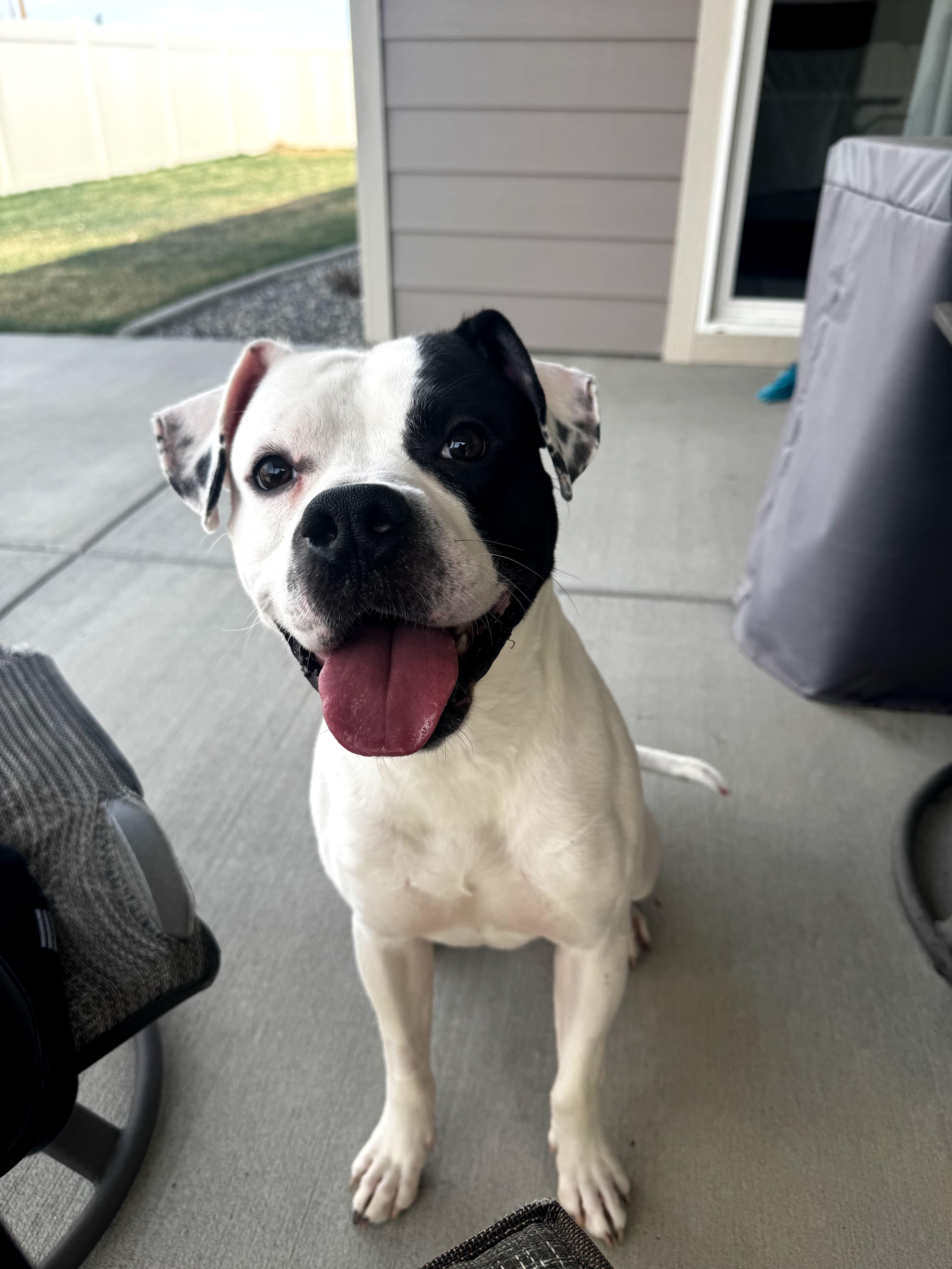 Max