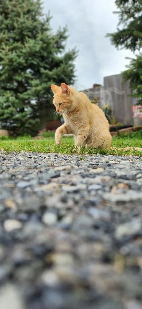 Max
