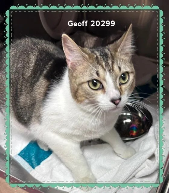 Geoff thumbnail 4