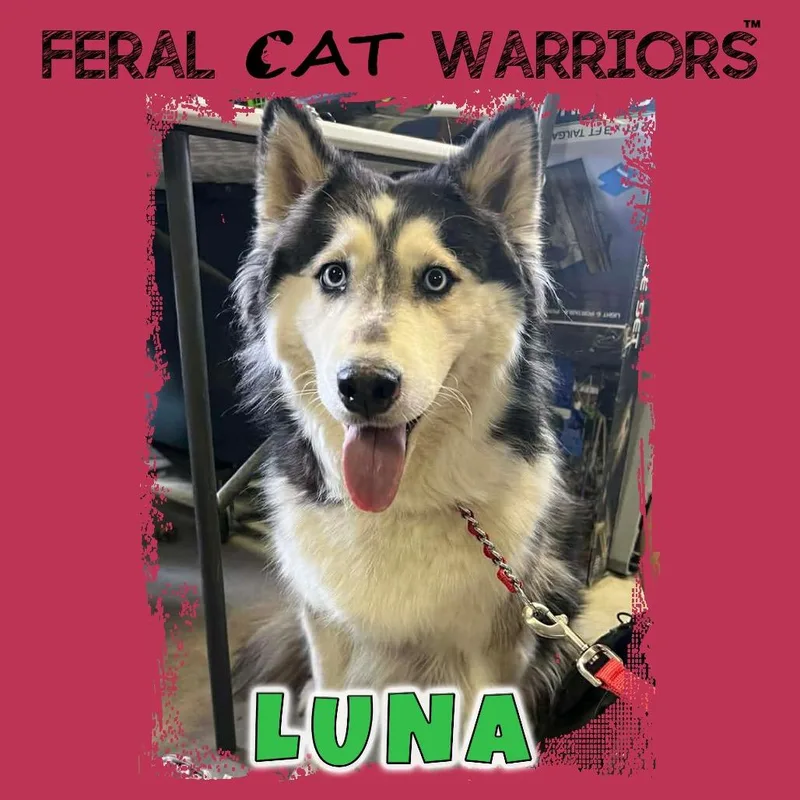 Luna