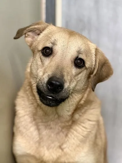 Skye