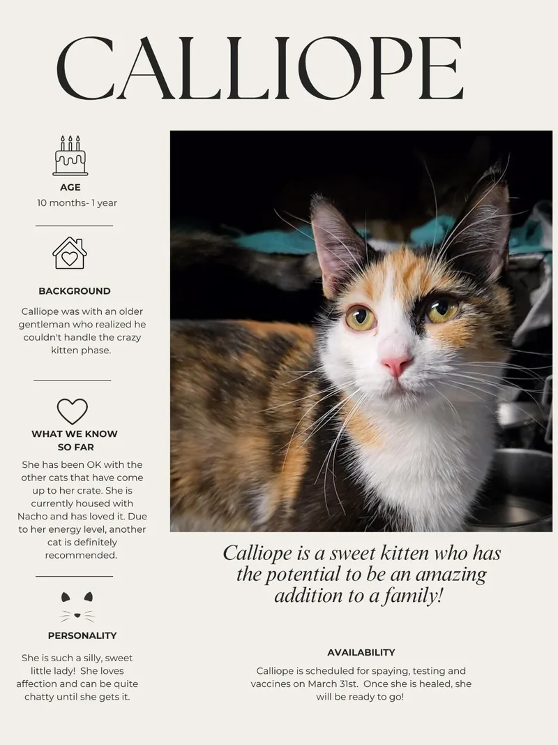 Calliope thumbnail 5