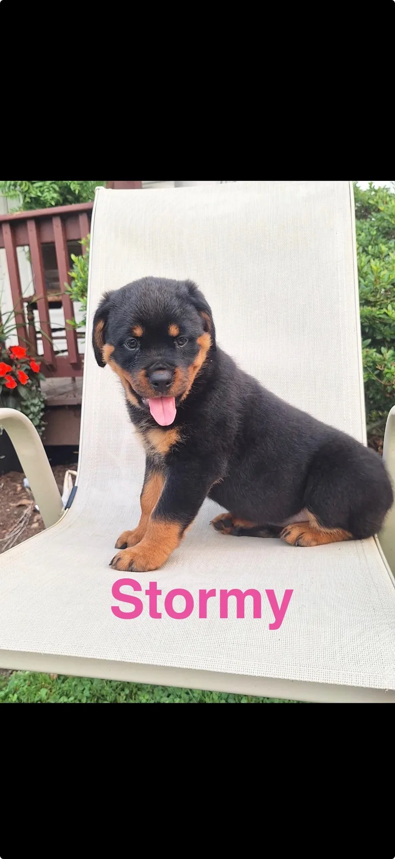 Stormy