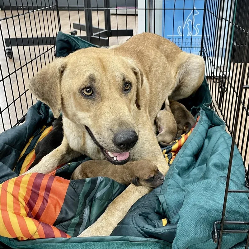 Clementine thumbnail 2