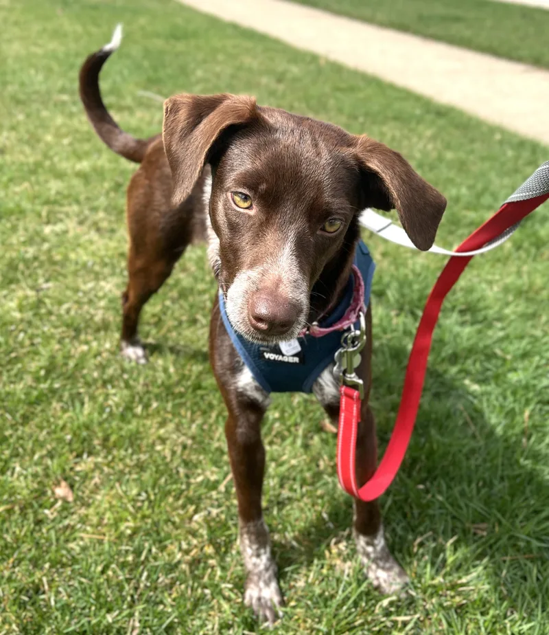 Wilhelmina thumbnail 3