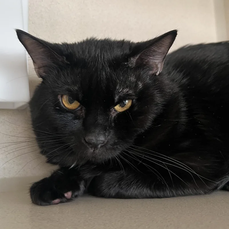 Winston Charles thumbnail 3