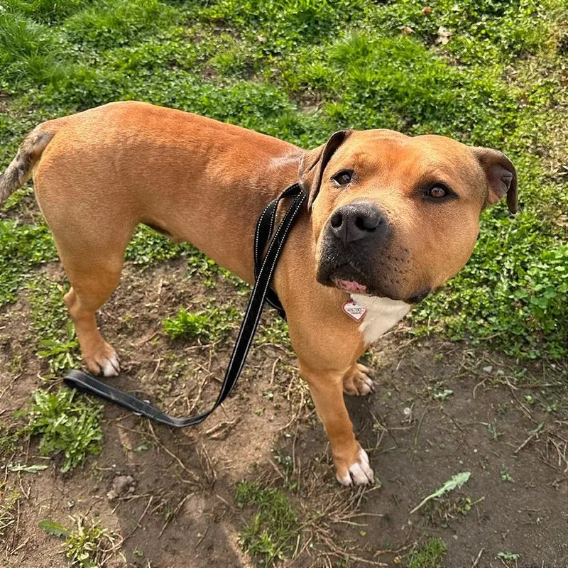 Aza % Off! thumbnail 2