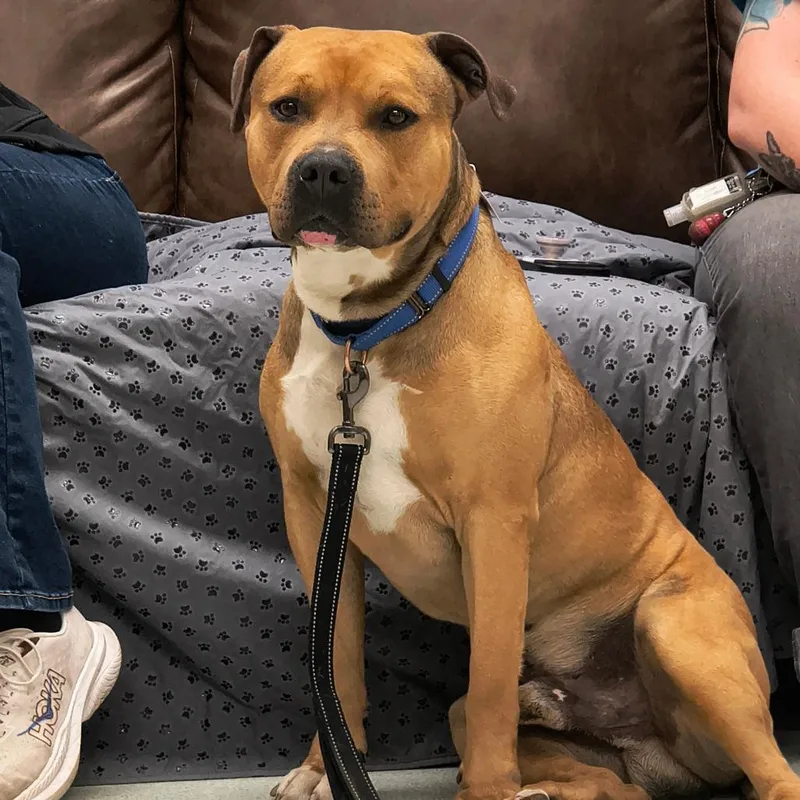 Aza % Off! thumbnail 3