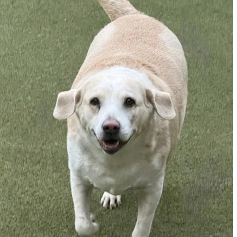 Margarita thumbnail 3