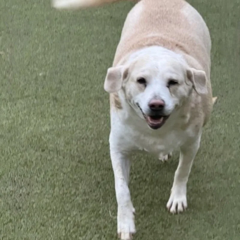 Margarita thumbnail 5