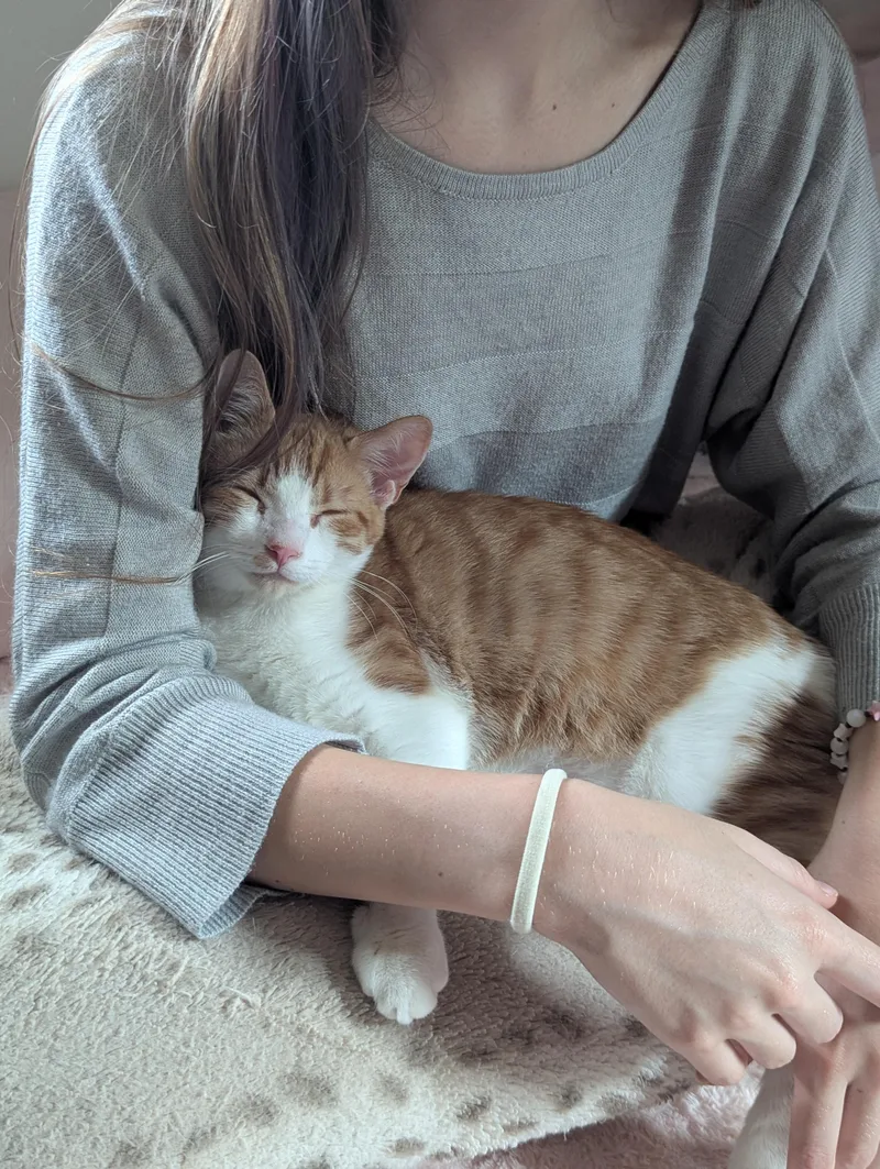 Cheeto thumbnail 2