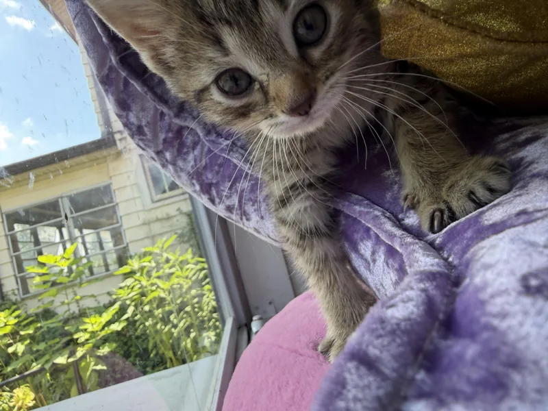 Frannie thumbnail 3