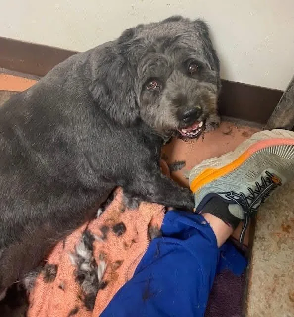 Emma Bonded With Benjamin thumbnail 2