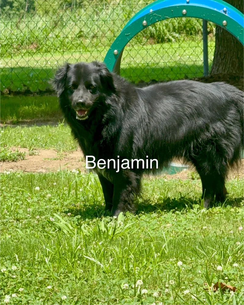 Emma Bonded With Benjamin thumbnail 3