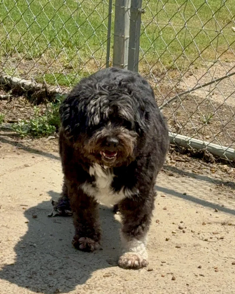 Emma Bonded With Benjamin thumbnail 4