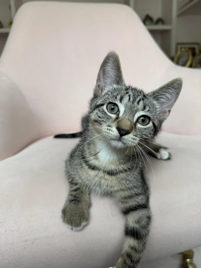 Christian thumbnail 2