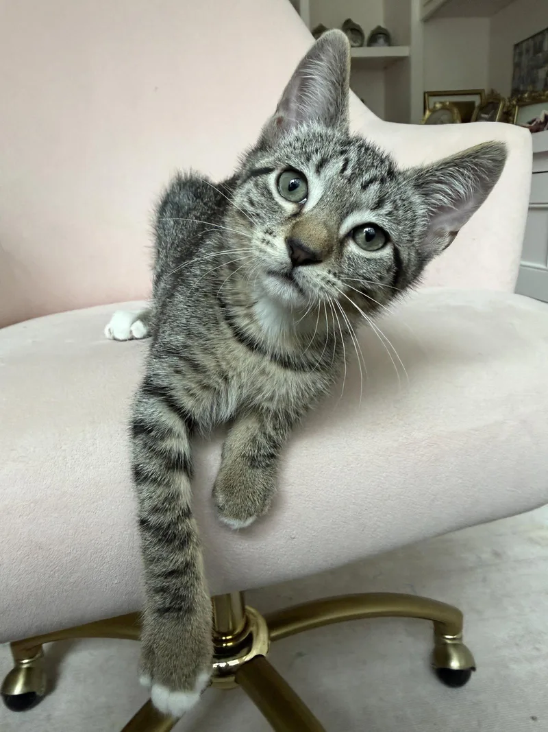 Christian thumbnail 3