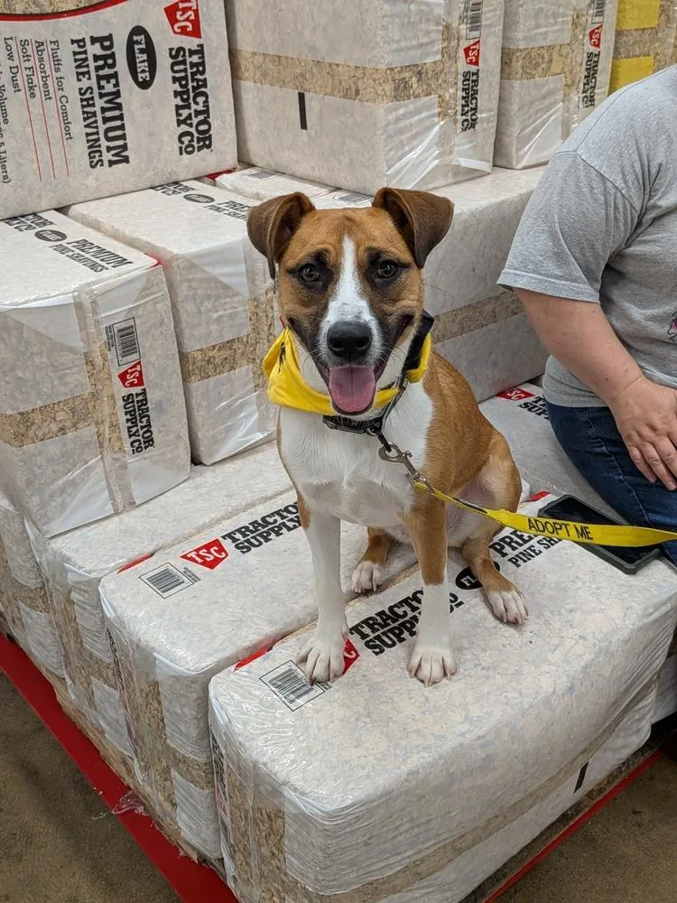 Kyra thumbnail 2